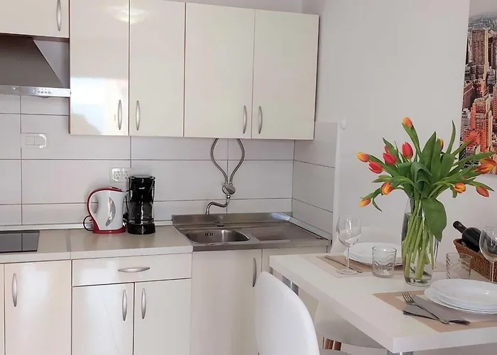 With One Bedroom And Terrace Apartment